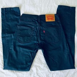 Men’s 28x32 Levi’s 511